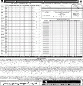 Secondary Education Department Baluchistan CTSP Jobs 2019 Roll No Slip Download Online