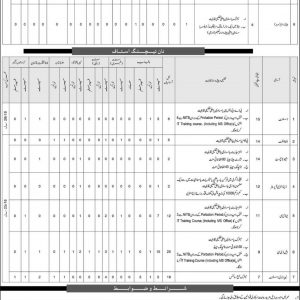 Federal Government Educational Institutions FGEI CTSP Jobs 2022 Application Form