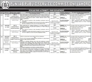 Punjab Food Authority Jobs