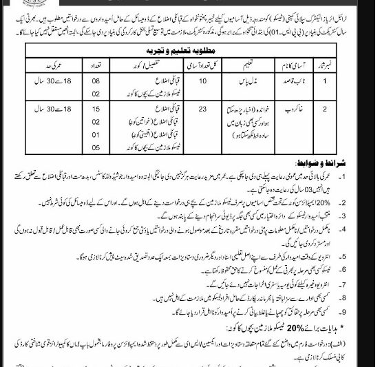 Tribal Areas Electric Supply Company TESCO Jobs 2024