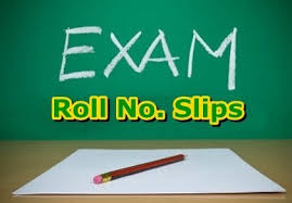 KPK Elementary & Secondary Education Department NTS Jobs 2022 Roll No Slip