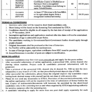 Tehsil Municipal Administration Bahrain KPK ETEA Jobs 2022 Application Form