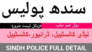 Sindh Police Driver PTS Roll No Slip Download Online