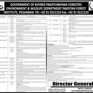 Forestry Environment & Wildlife Department KPK Jobs 2022