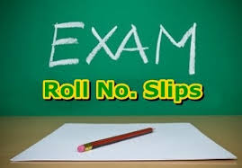 DPS Toba Tek Singh NTS Roll No Slip Download Online