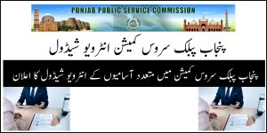 PPSC Lecturer Jobs Result & Interview Dates Check Online