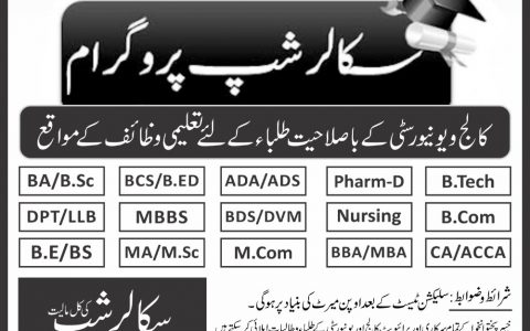 Pakistan Talent Olympiad KPK NTPA Application Form