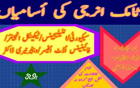 PAEC PO Box 758 Jobs