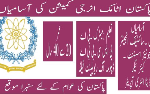Pakistan Atomic Energy Commission PAEC Jobs