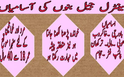Central Jail Bannu Jobs