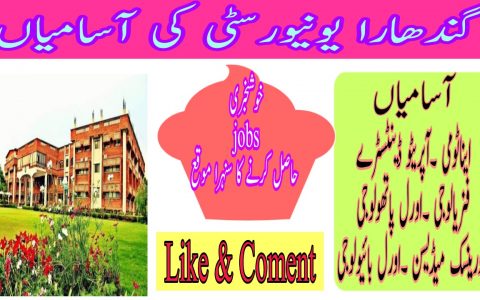 Gandhara University Jobs 2021 Apply Online