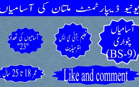 Revenue Department Multan Jobs