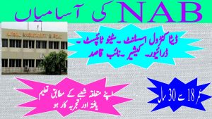 NAB Karachi Jobs 2022 Application Form