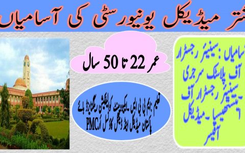Nishtar Medical University & Hospital Multan Jobs