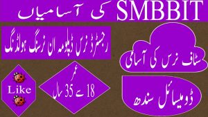 SMBBIT Shaheed Mohtarma Benazir Bhutto Institute of Trauma Karachi Jobs 2022