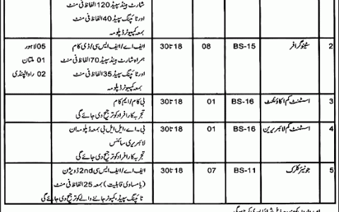 Additional Advocate General office Punjab Jobs