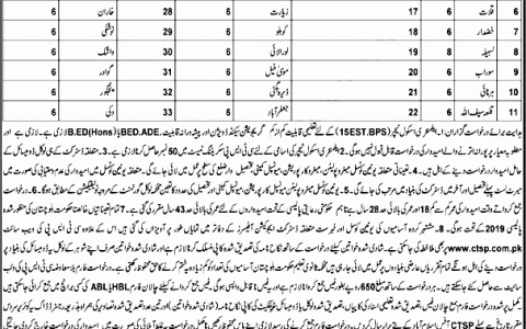 EST Elementary School Teacher Balochistan CTSP Jobs