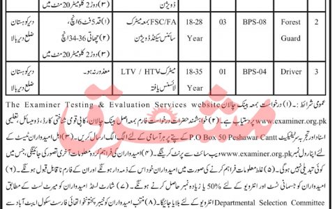 Divisional Forest officer DFO Kohistan Sheringal ETES Jobs
