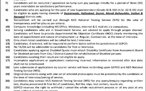 GEPCO NTS Jobs