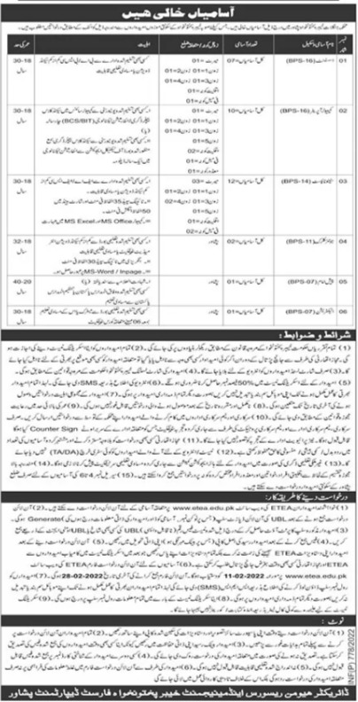 Forest Department KPK Jobs 2024