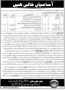 Anti Corruption Court Peshawar ETEA Jobs