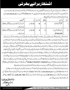 District Health Officer Manshera ETEA jobs