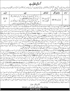 KPK Provincial Public Safety Commission Jobs