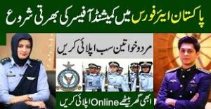 paf jobs thum