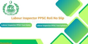 Labour Inspector PPSC Roll no slip